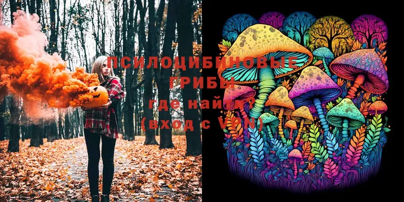 MEGA онион  Костерёво  Псилоцибиновые грибы Psilocybe 